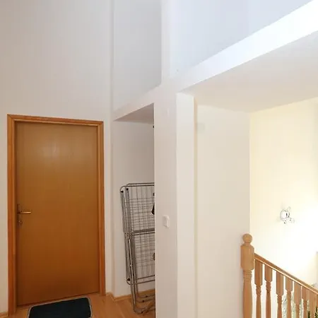 Maslina Božava