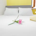 شقة Maslina