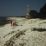 Maslina Božava