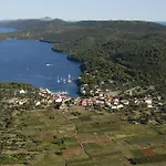 Maslina * Božava