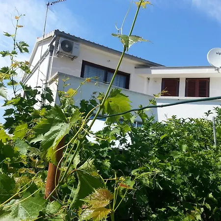 Apartament Maslina