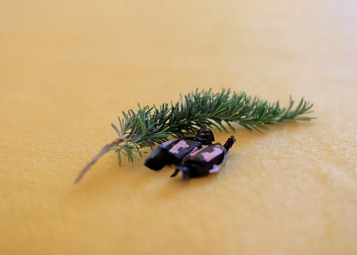 Maslina Apartamento *